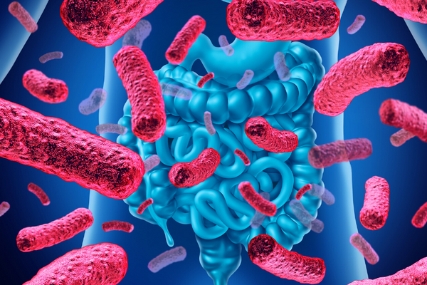 benefits of probiotics for skin