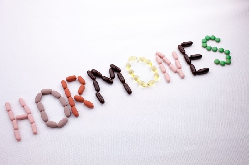 Hormones and Hair Health - What do you need to know?