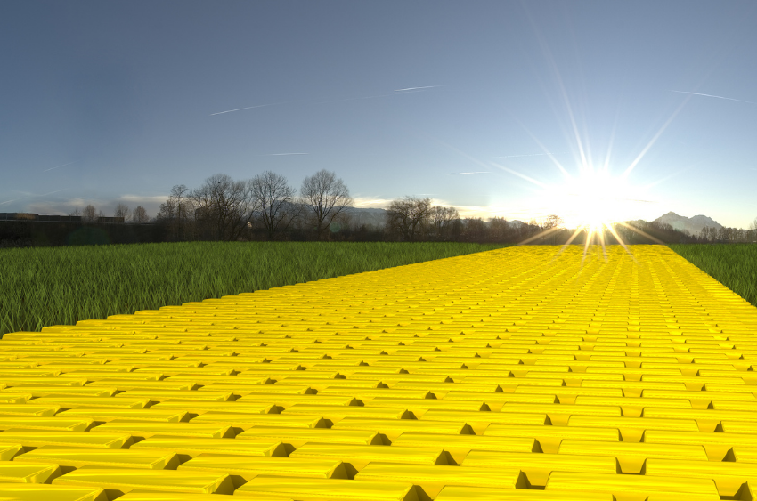 Sun And Pollution And Hair...Oh My!
