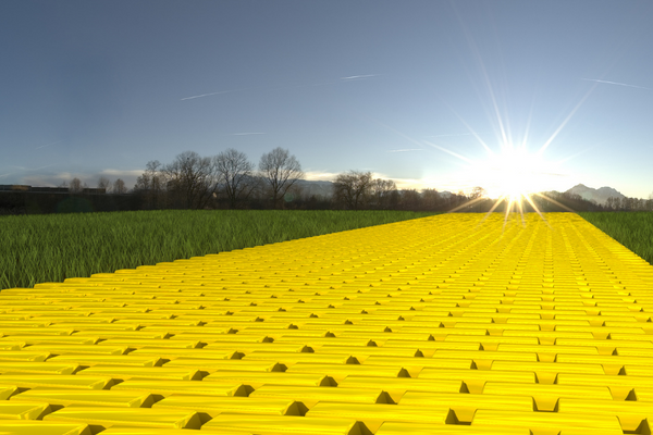 Sun And Pollution And Hair...Oh My!