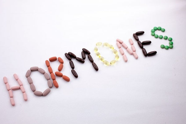 Hormones and Hair Health - What do you need to know?