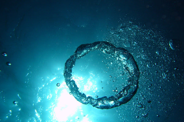 Lycopene as the Most Efficient Carotenoid