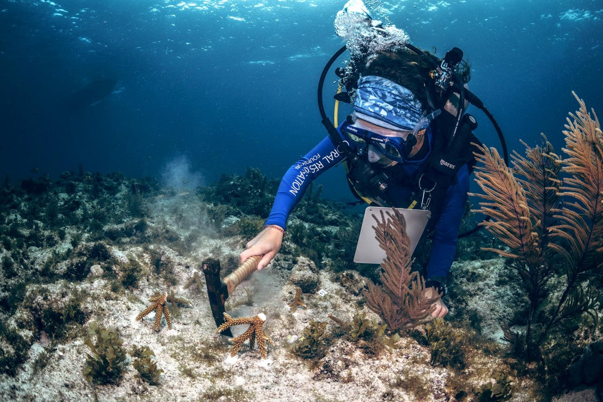 How Sunscreen is Hurting the Planet