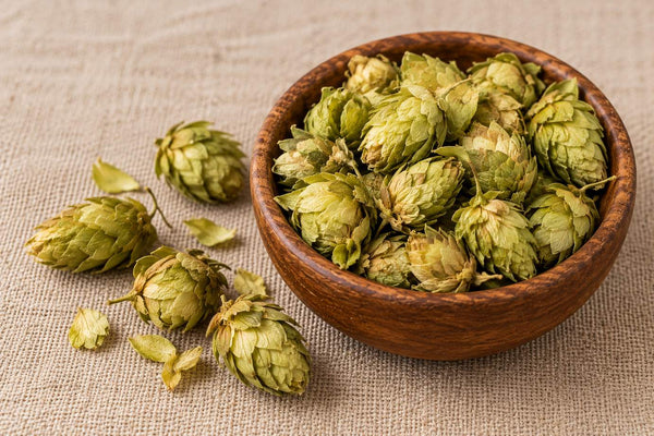 Hops for Sleep: History, Beer, and What the Research Shows