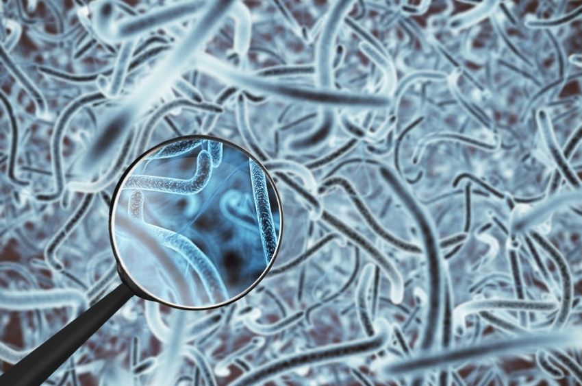 They're Alive...And Could Be The Secret To Perfect Hair