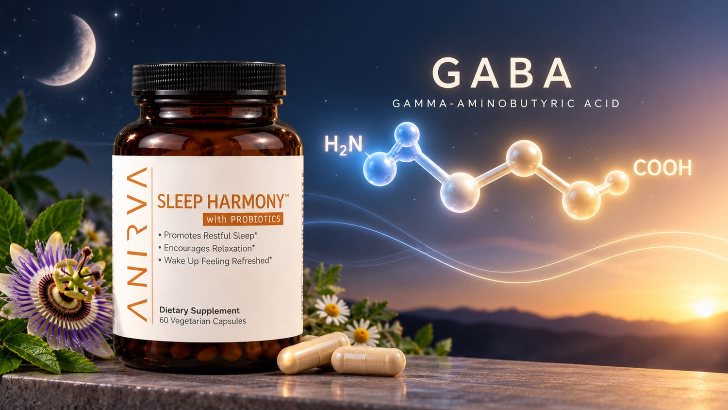 L. Brevis, GABA, and Sleep: What Early Research Shows