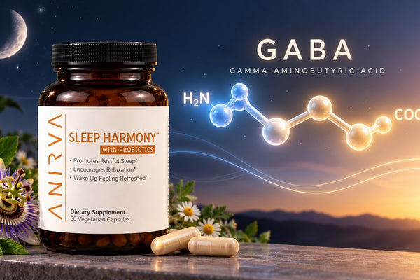 L. Brevis, GABA, and Sleep: What Early Research Shows