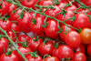 Study proves that tomatoes can protect the skin from UV radiation