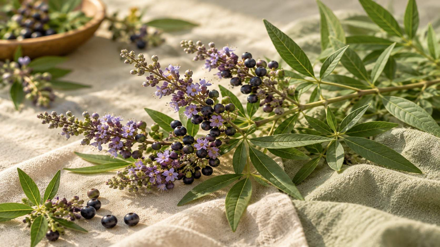 Vitex (Chasteberry) and Hormonal Acne: What the Research Shows