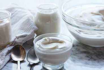 yogurt recipe with probiotics