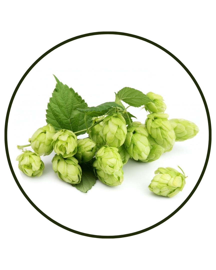 Hops