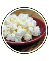 Lactobacillus Rhamnosus
