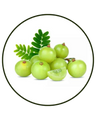 Amla
