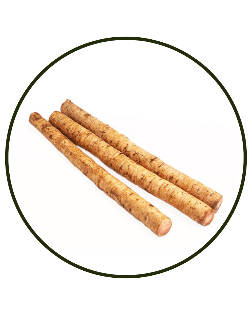 Burdock (Arctium lappa) root