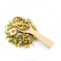 Chamomile Extract