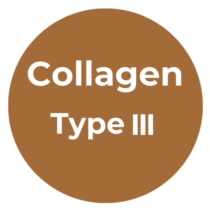 Collagen Type III