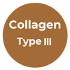 Type III Collagen