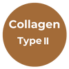 Type II Collagen