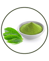 Green Tea (Camellia sinensis) leaf extract (50% epigallocatechin)