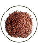 Grape Seed Extract