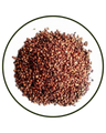 Grape (Vitis vinifera) seed extract (95% Oligomeric Proanthocyanidins)