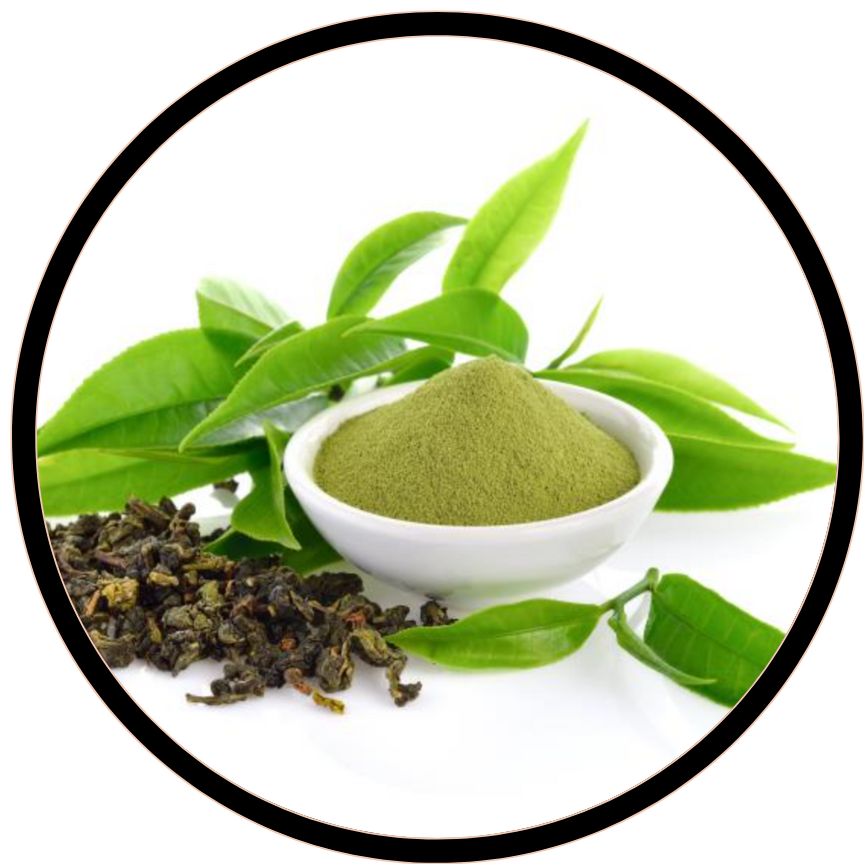 Green Tea (Camellia sinensis) leaf extract (50% EGCG)