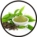 Green Tea (Camellia sinensis) leaf extract (50% EGCG)