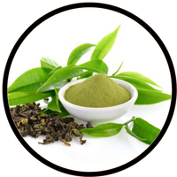 Green Tea Leaf Extract