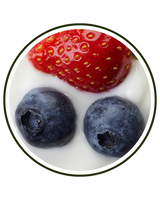 Lactobacillus brevis