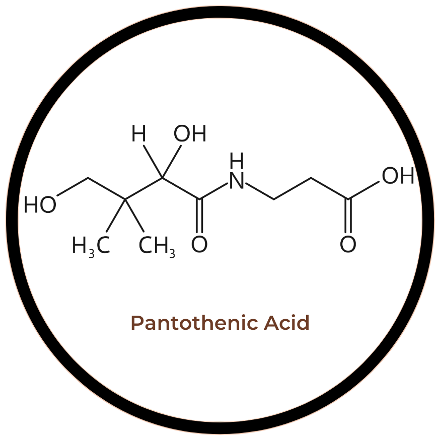 Pantothenic Acid (as Pantothenate)