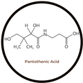 Pantothenic Acid (as Pantothenate)