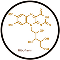 Riboflavin (as Vitamin B2)
