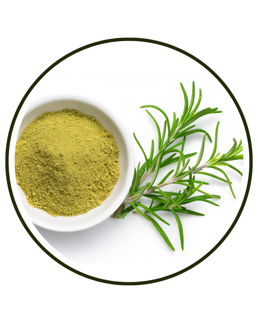 Rosemary (Rosmarinus officinalis) leaf extract