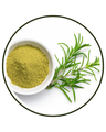 Rosemary (Rosmarinus officinalis) leaf extract
