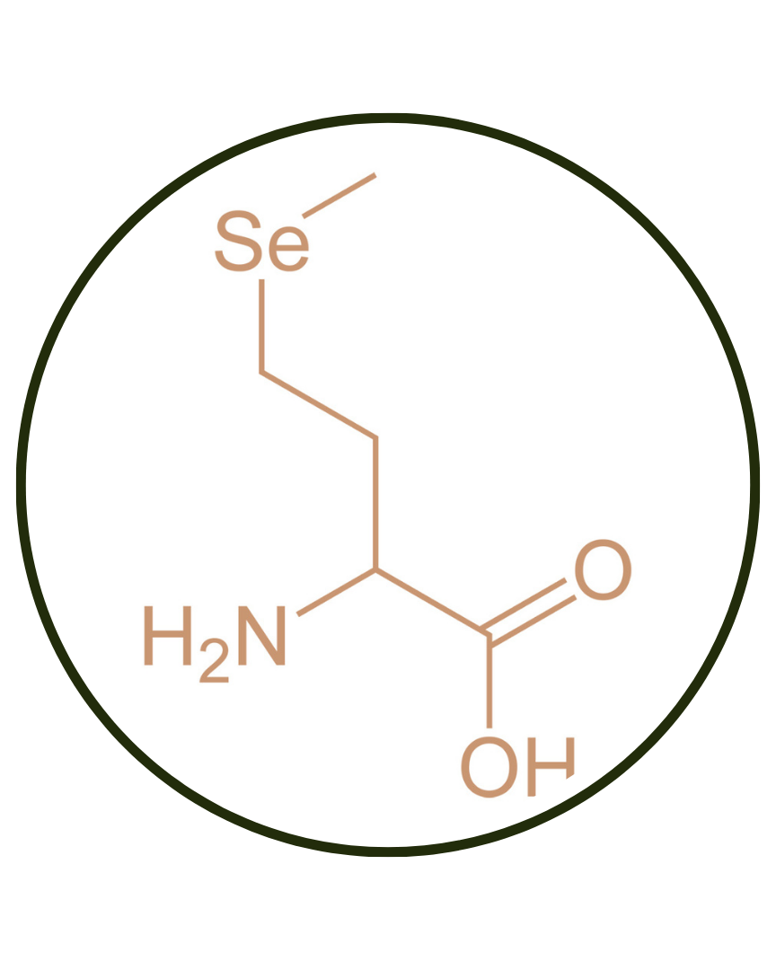 Selenium