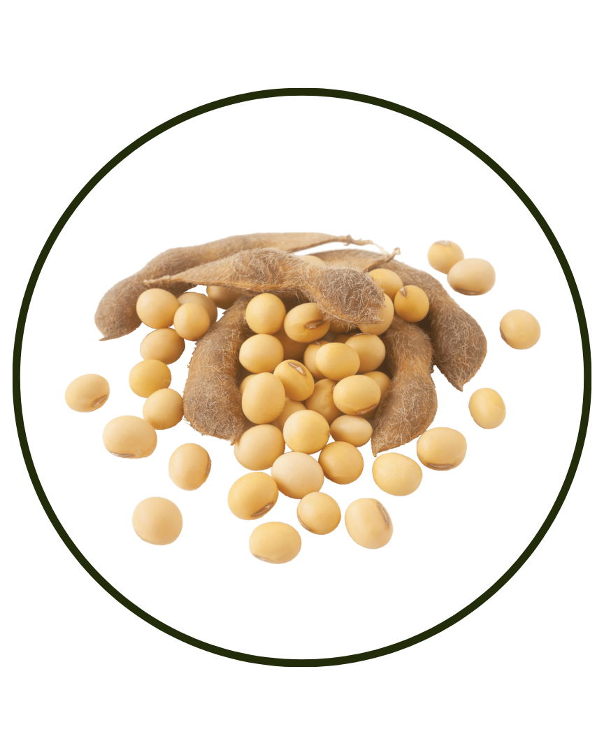 Soy Isoflavones (from soybean extract, 40% isoflavones)