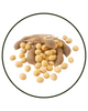 Soy Isoflavones