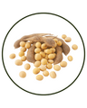 Soy Isoflavones (from soybean extract, 40% isoflavones)