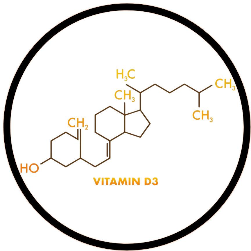 Vitamin D₃ (as Cholecalciferol)