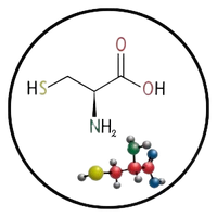 L-Cysteine