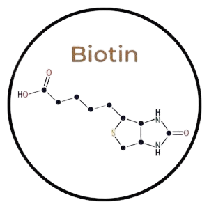 Biotin