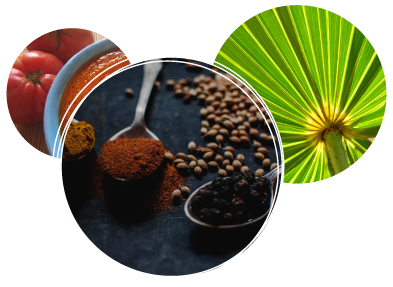 Natural anti-aging supplement ingredients for holistic health