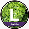 Lutein