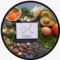 B Vitamins (B2, Niacin, B12, Biotin, Pantothenic Acid)